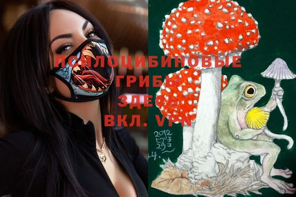 кокс Чита