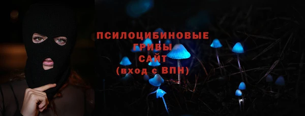 гидра Михайловск