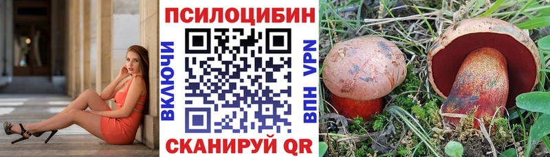Галлюциногенные грибы GOLDEN TEACHER  Болгар 