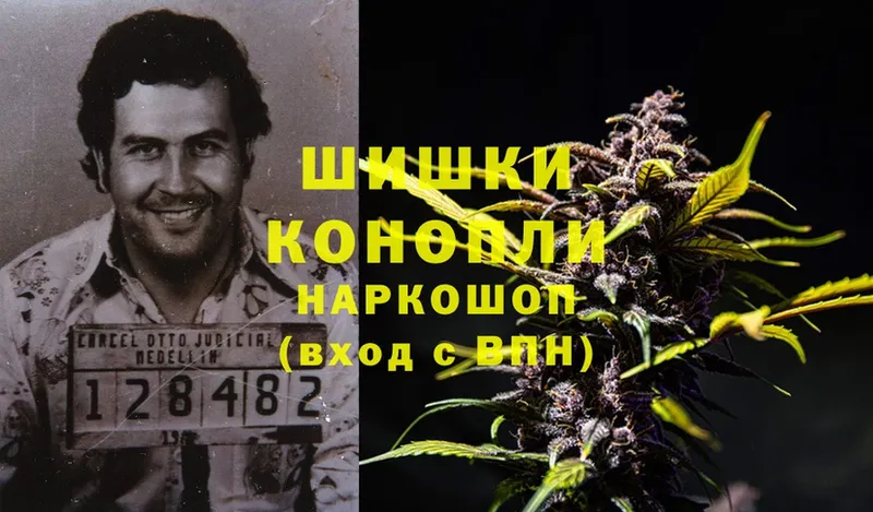 купить наркотики цена  Болгар  Канабис ГИДРОПОН 